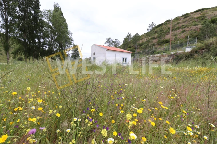 Terreno Agricola ou Rústico para Venda em Santo Isidoro Foto 11
