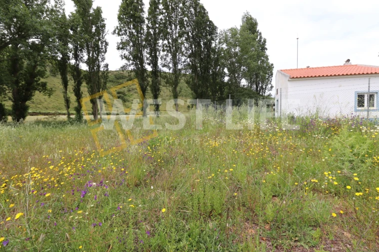 Terreno Agricola ou Rústico para Venda em Santo Isidoro Foto 12