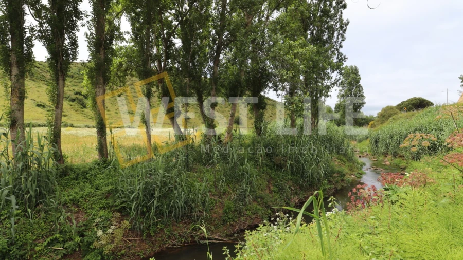Terreno Agricola ou Rústico para Venda em Santo Isidoro