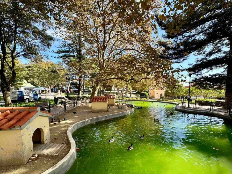 Terreno para Venda em Carcavelos e Parede Foto 11