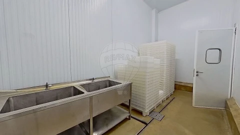 Armazém para Venda em Santa Maria e São Miguel, São Martinho, São Pedro Penaferrim