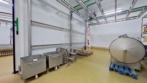 Armazém para Venda em Santa Maria e São Miguel, São Martinho, São Pedro Penaferrim