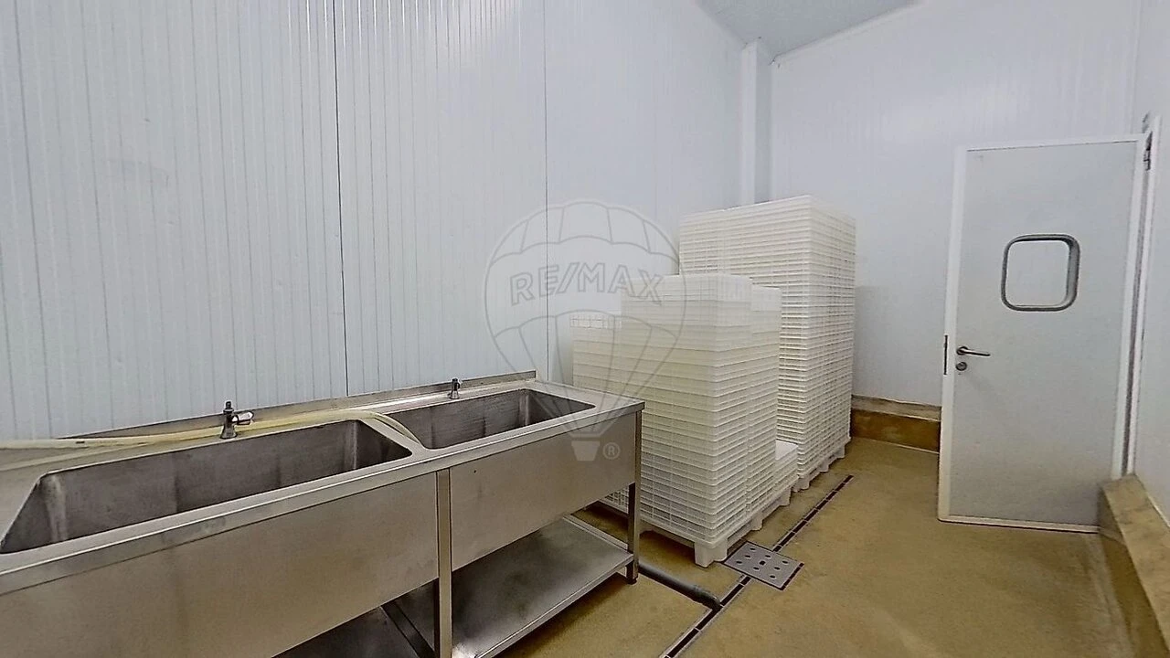 Armazém para Venda em Santa Maria e São Miguel, São Martinho, São Pedro Penaferrim Foto 25