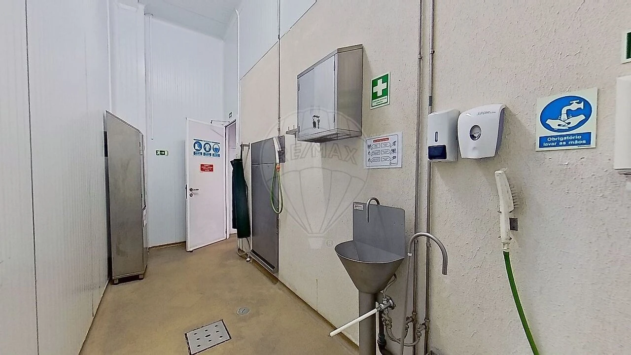 Armazém para Venda em Santa Maria e São Miguel, São Martinho, São Pedro Penaferrim Foto 28