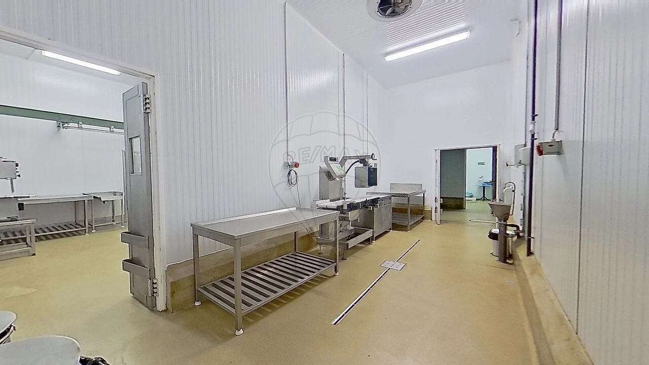 Armazém para Venda em Santa Maria e São Miguel, São Martinho, São Pedro Penaferrim Foto 30