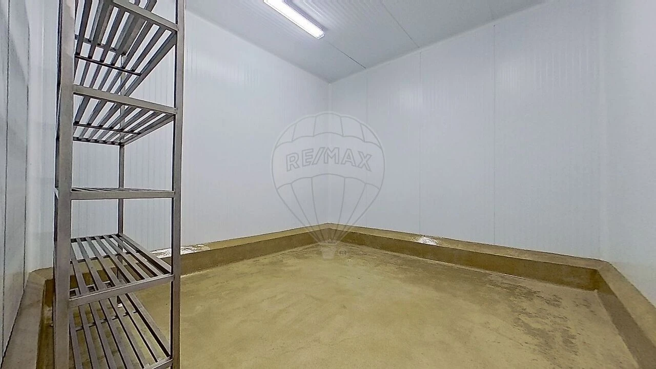 Armazém para Venda em Santa Maria e São Miguel, São Martinho, São Pedro Penaferrim Foto 22