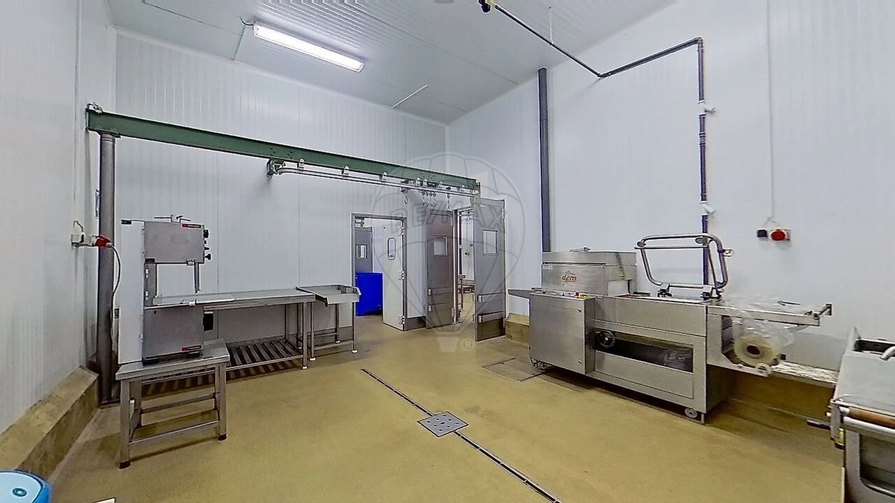 Armazém para Venda em Santa Maria e São Miguel, São Martinho, São Pedro Penaferrim Foto 5