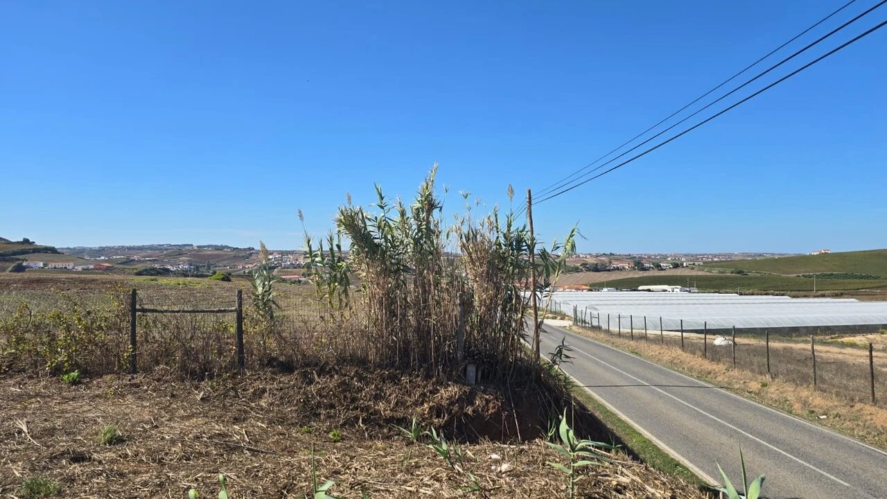 Terreno para Venda em Ericeira Foto 4