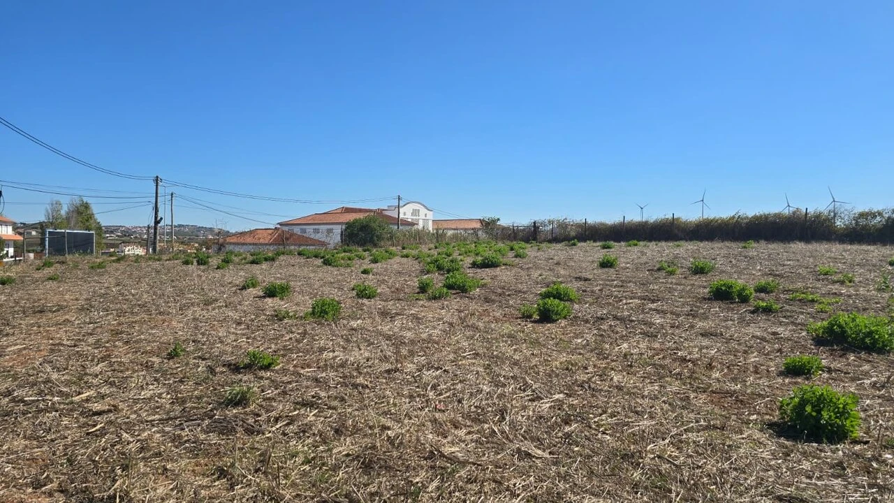 Terreno para Venda em Ericeira Foto 5