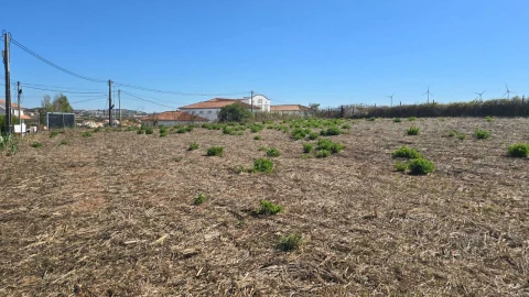 Terreno para Venda em Ericeira