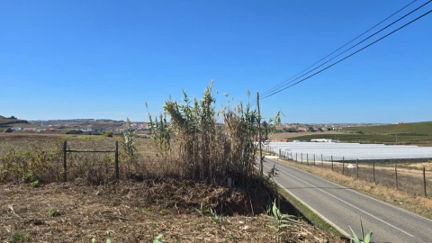 Terreno para Venda em Ericeira