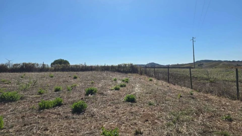 Terreno para Venda em Ericeira