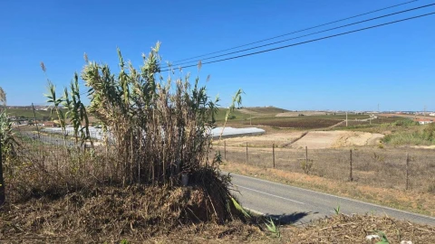 Terreno para Venda em Ericeira