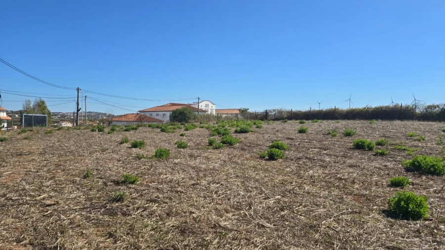 Terreno para Venda em Ericeira Foto 5