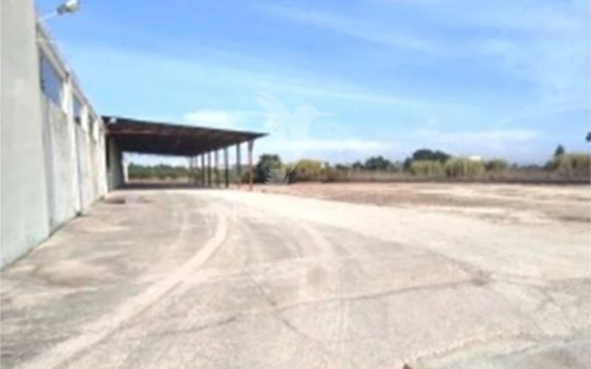 Armazém para Venda em Torres Novas (Santa Maria, Salvador e Santiago) Foto 29