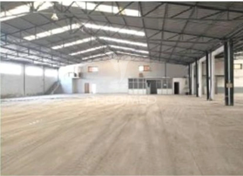 Armazém para Venda em Torres Novas (Santa Maria, Salvador e Santiago) Foto 27