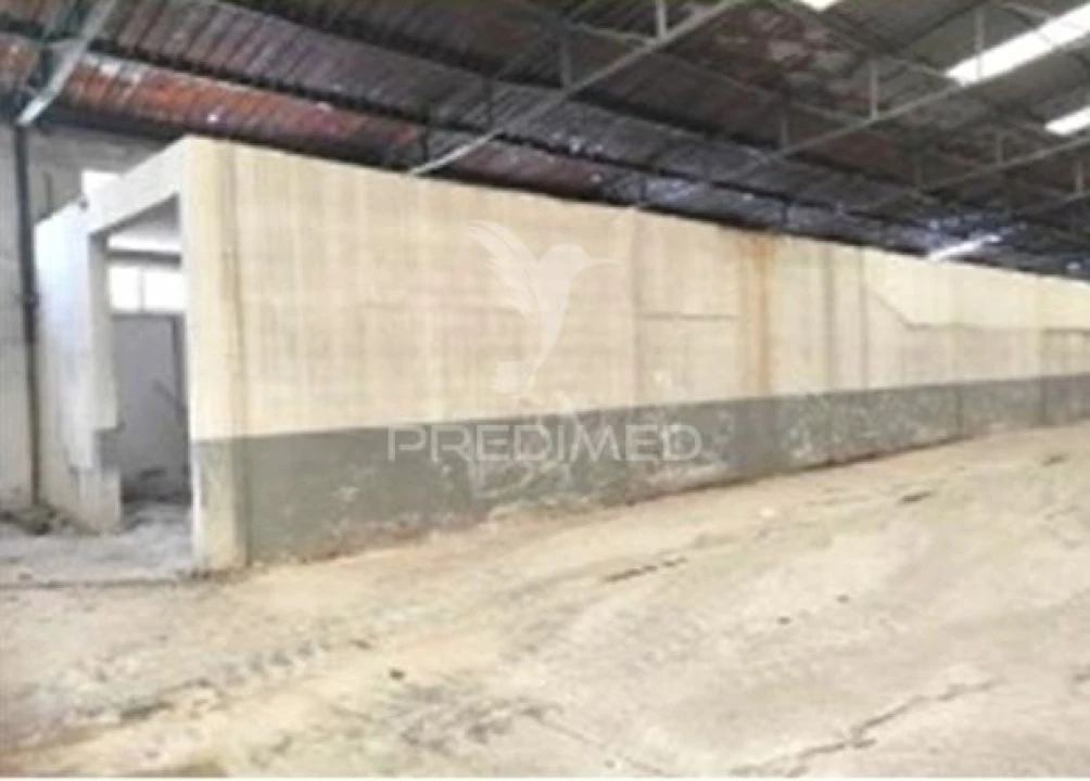 Armazém para Venda em Torres Novas (Santa Maria, Salvador e Santiago) Foto 28