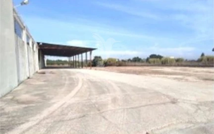 Armazém para Venda em Torres Novas (Santa Maria, Salvador e Santiago)