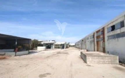 Armazém para Venda em Torres Novas (Santa Maria, Salvador e Santiago)