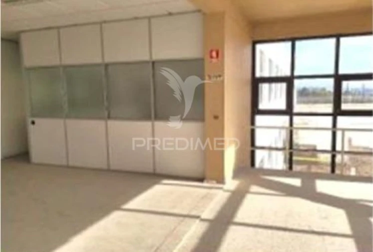 Armazém para Venda em Torres Novas (Santa Maria, Salvador e Santiago) Foto 32