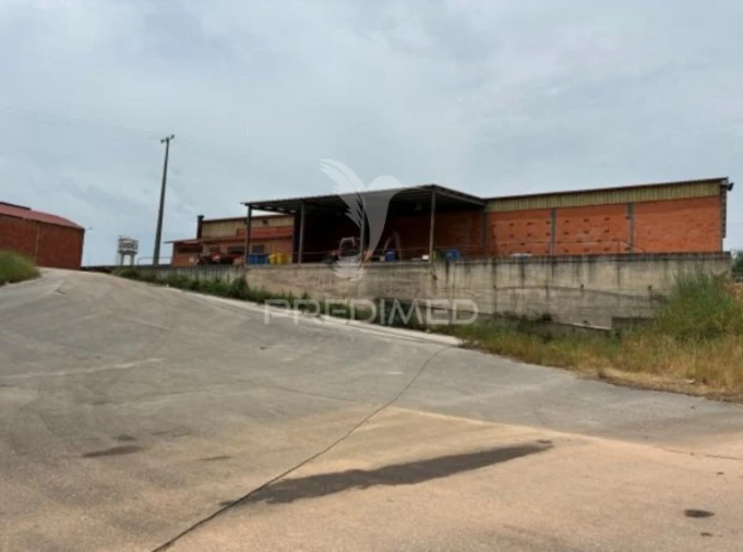 Armazém para Venda em Côja e Barril de Alva Foto 12