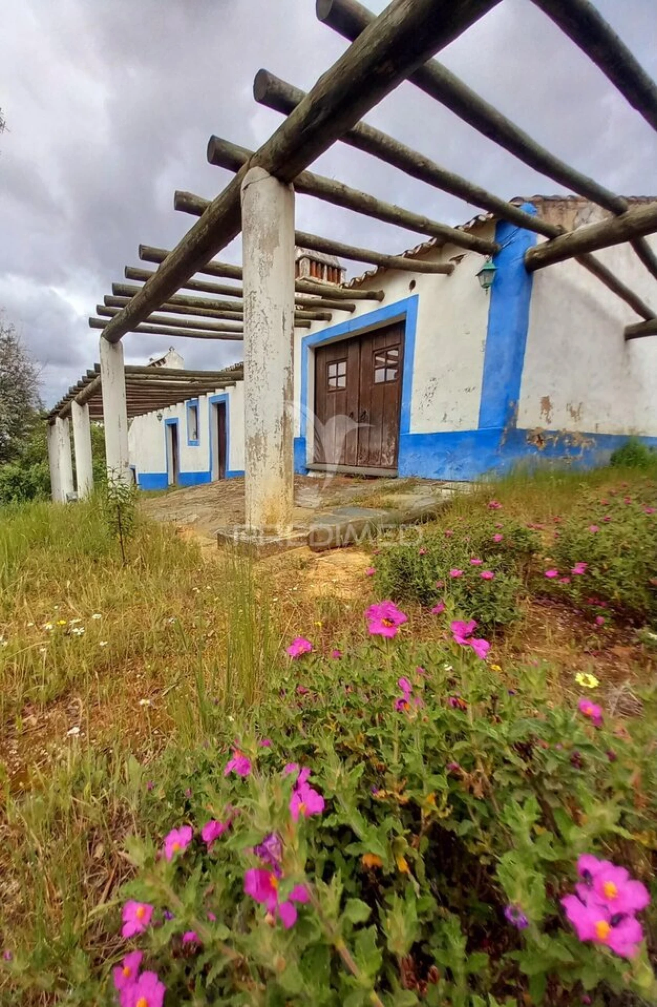Quinta T5 para Venda em Redondo Foto 6