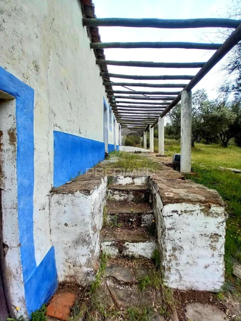 Quinta T5 para Venda em Redondo