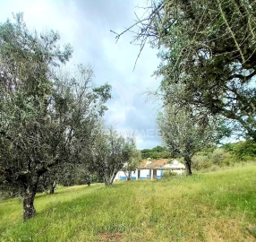 Quinta T5 para Venda em Redondo