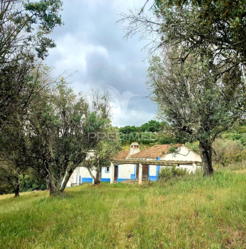 Quinta T5 para Venda em Redondo
