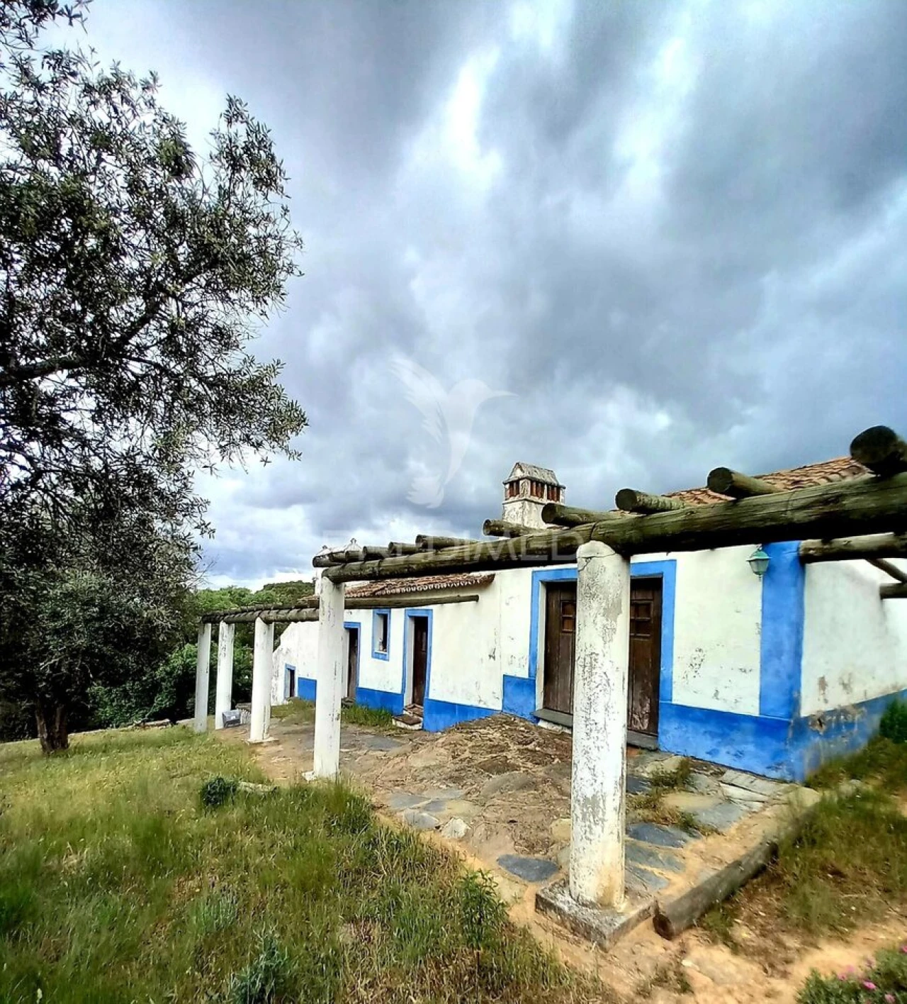 Quinta T5 para Venda em Redondo Foto 2