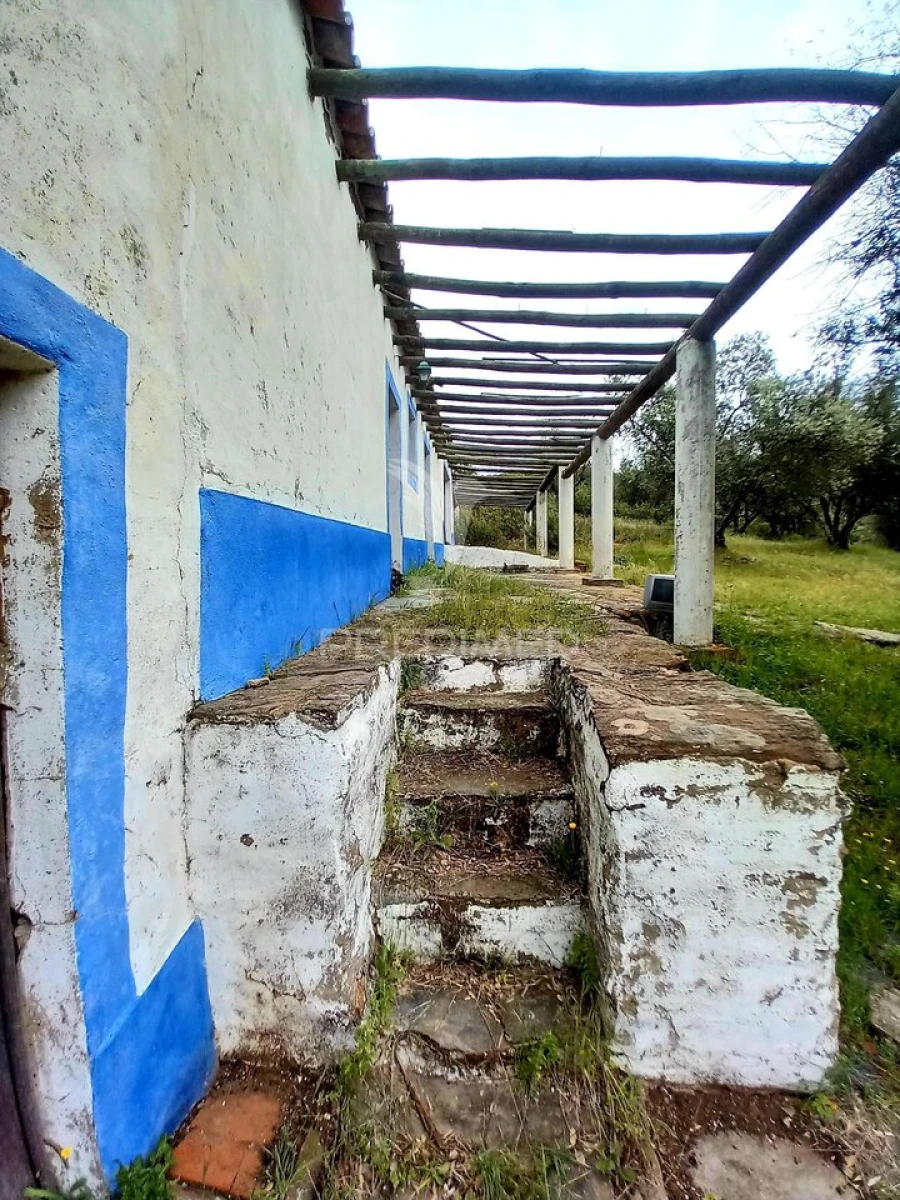 Quinta T5 para Venda em Redondo Foto 7