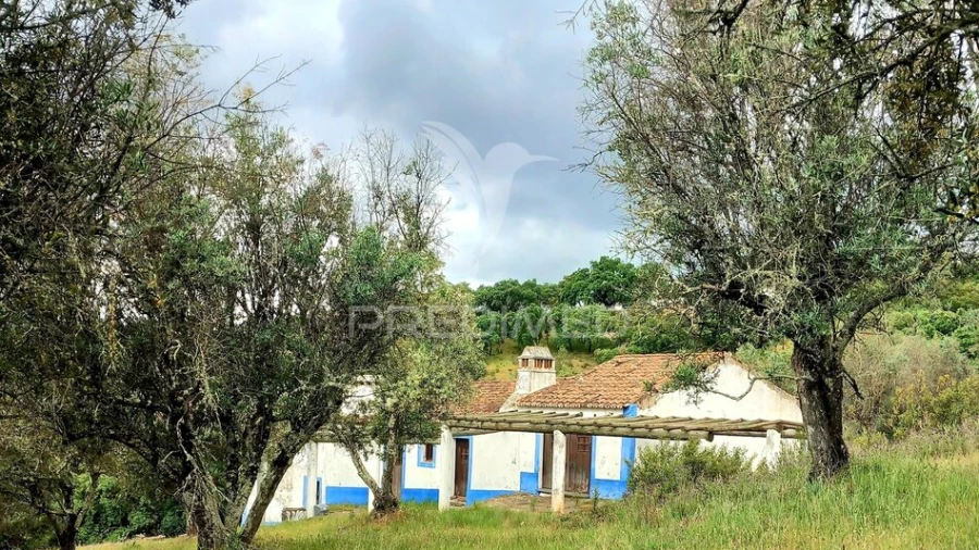 Quinta T5 para Venda em Redondo