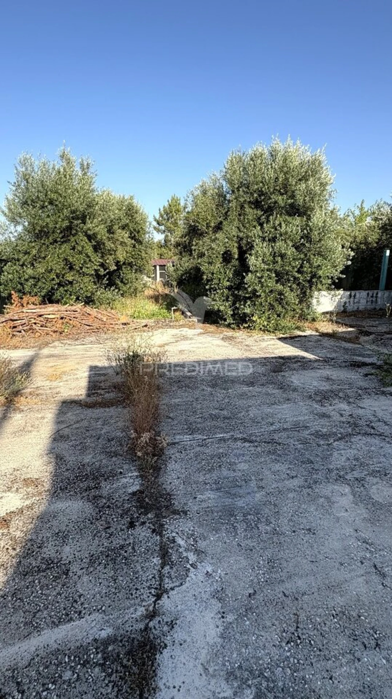 Moradia T2 para Venda em Santa Margarida da Coutada Foto 22