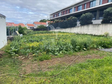 Terreno para Venda em Calheta