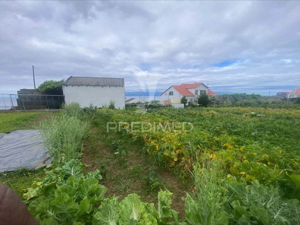 Terreno para Venda em Calheta Foto 3