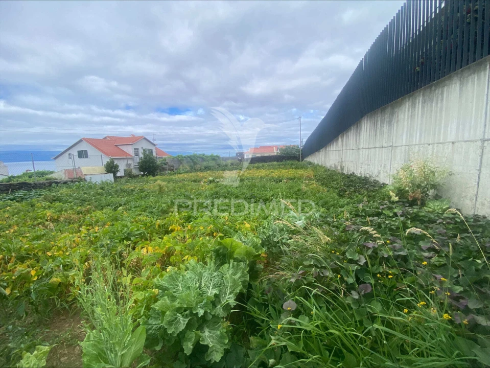 Terreno para Venda em Calheta Foto 4