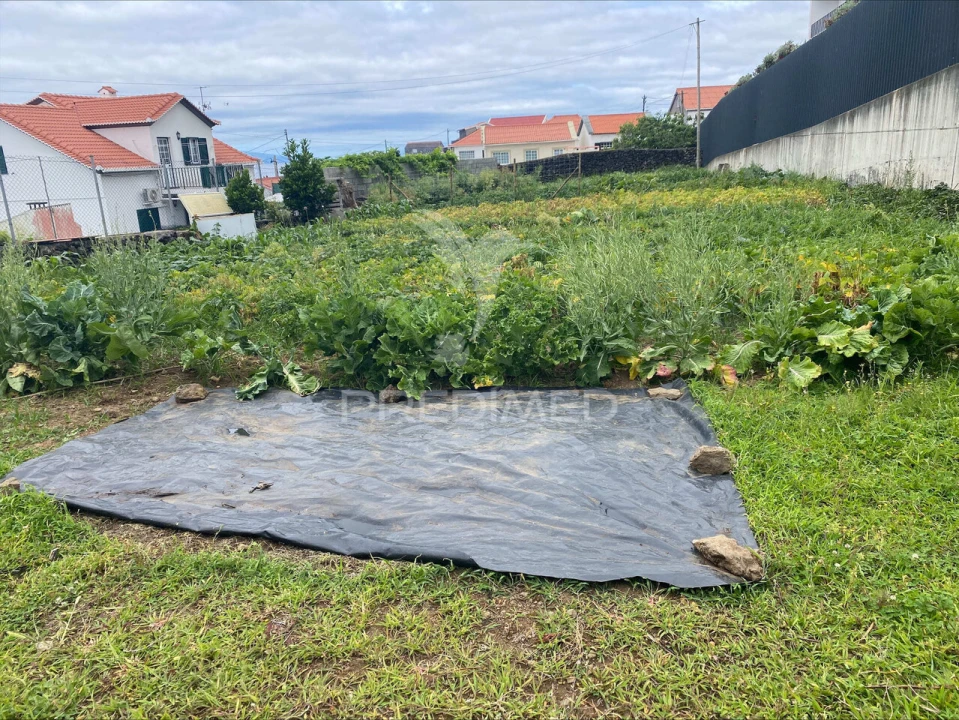Terreno para Venda em Calheta Foto 7