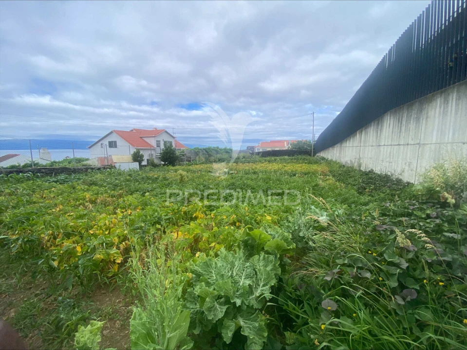 Terreno para Venda em Calheta Foto 2