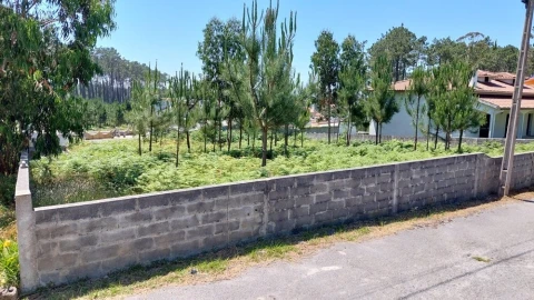 Terreno para Venda em Monte Real e Carvide