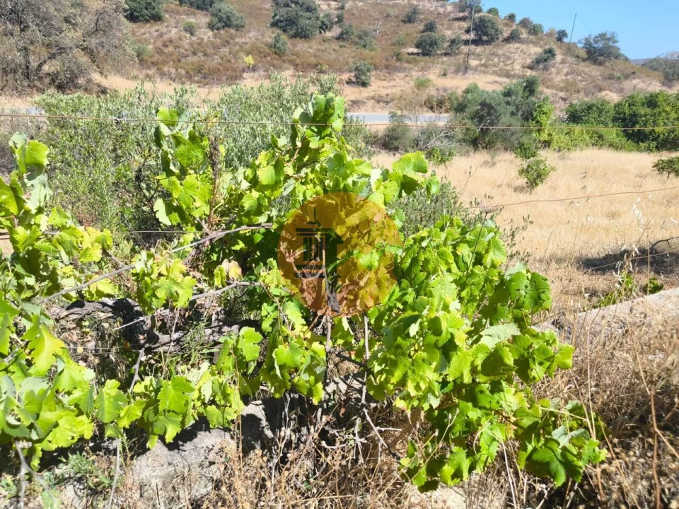 Terreno para Venda em Odeleite Foto 7