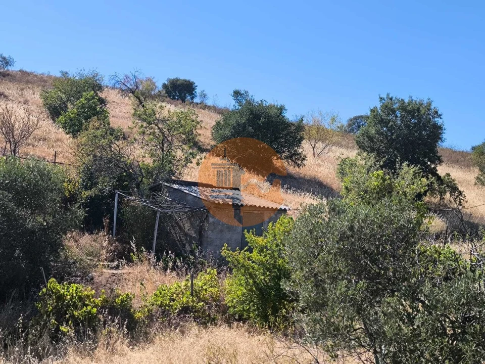 Terreno para Venda em Odeleite Foto 15