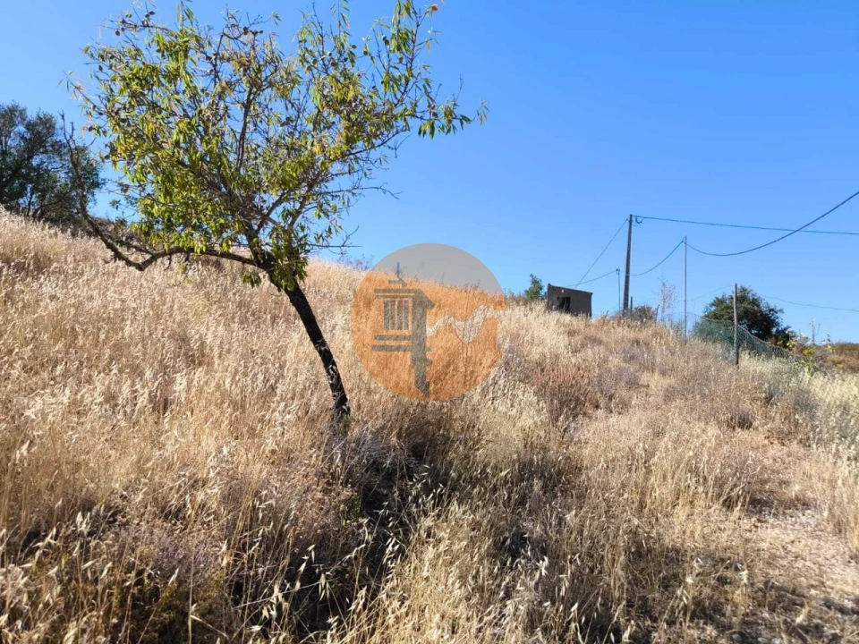 Terreno para Venda em Odeleite Foto 43