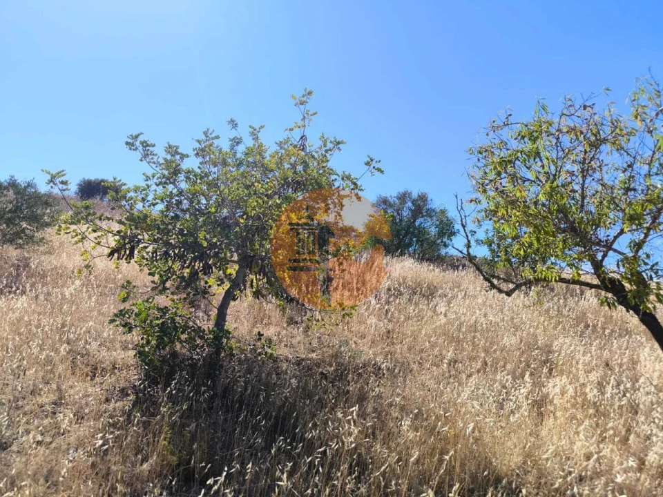 Terreno para Venda em Odeleite Foto 45