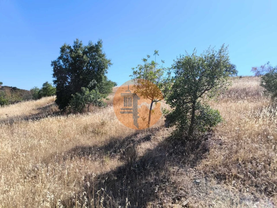 Terreno para Venda em Odeleite Foto 47