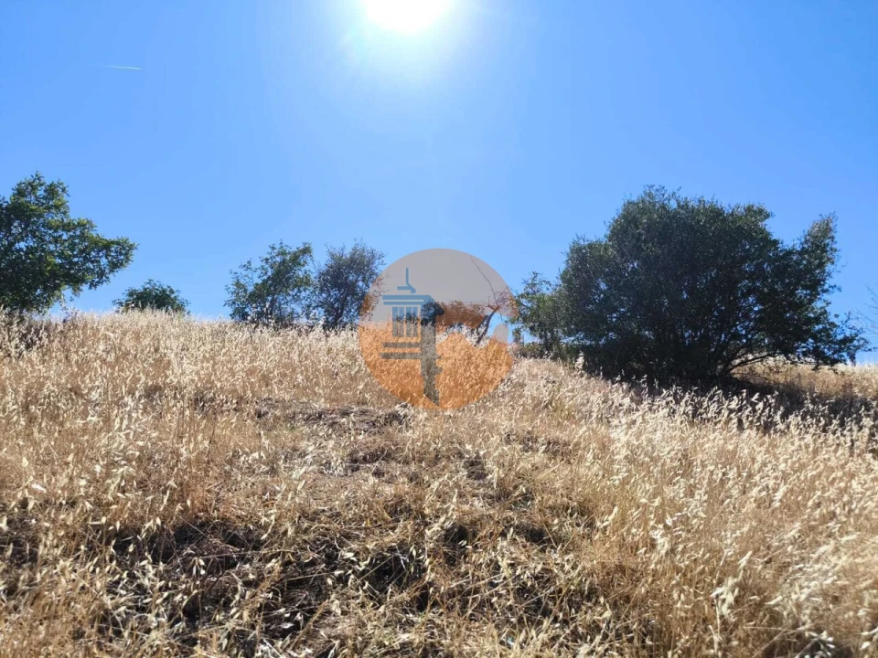 Terreno para Venda em Odeleite Foto 48