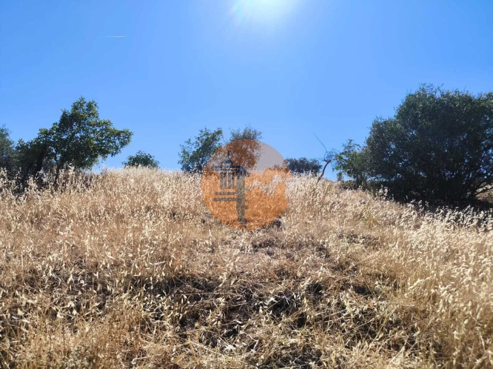 Terreno para Venda em Odeleite Foto 52