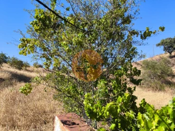 Terreno para Venda em Odeleite