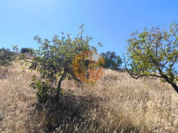 Terreno para Venda em Odeleite