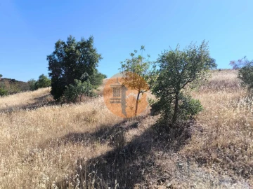 Terreno para Venda em Odeleite