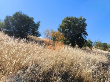 Terreno para Venda em Odeleite